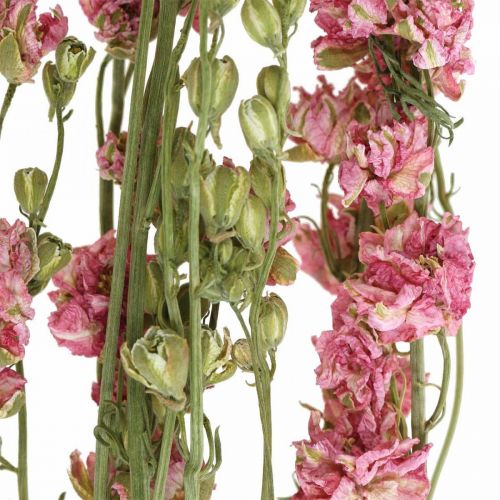 Article Fleur séchée delphinium, Delphinium rose, fleuristerie sèche L64cm 25g