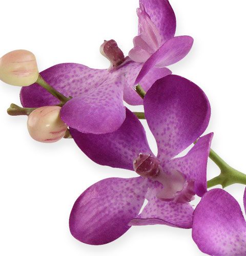 Floristik24 Orchidée lilas 38cm