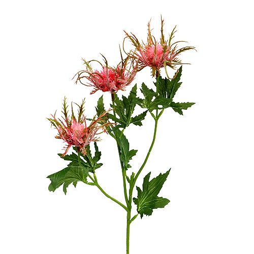Branche de chardon rose, vert L. 67 cm 4 p.