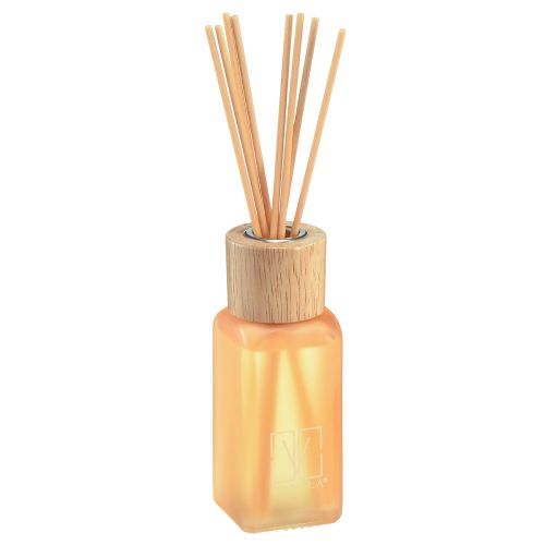 Diffuseur de parfum d'ambiance verre gingembre bâtons parfumés Camila 100ml