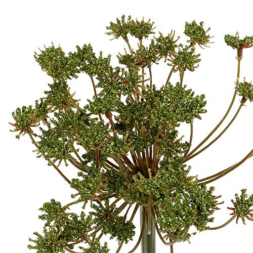 Floristik24 Aneth artificiel vert 76cm