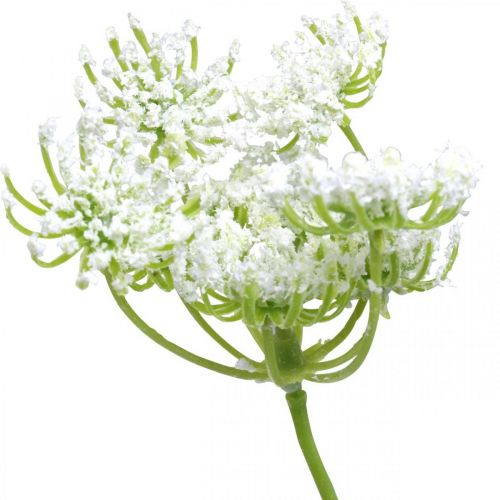 Floristik24 Aneth fleuri, plante artificielle, herbes artificielles vert, blanc L80cm