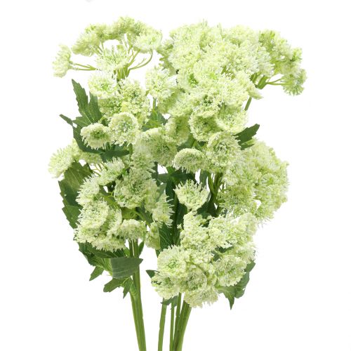 Floristik24 Aneth artificiel blanc 49cm 6pcs