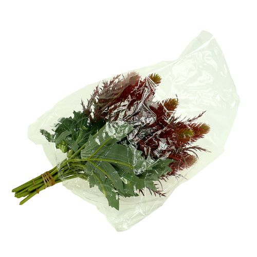Floristik24 Chardon rouge-vert 20cm 12pcs