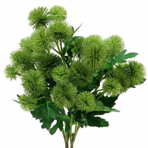 Floristik24 Chardon fleur en soie vert 56cm 3pcs