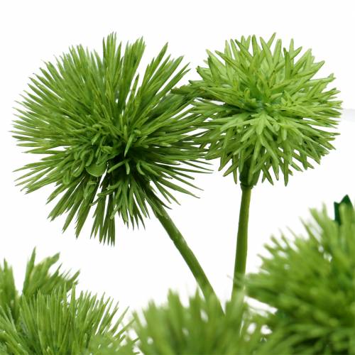 Floristik24 Chardon fleur en soie vert 56cm 3pcs