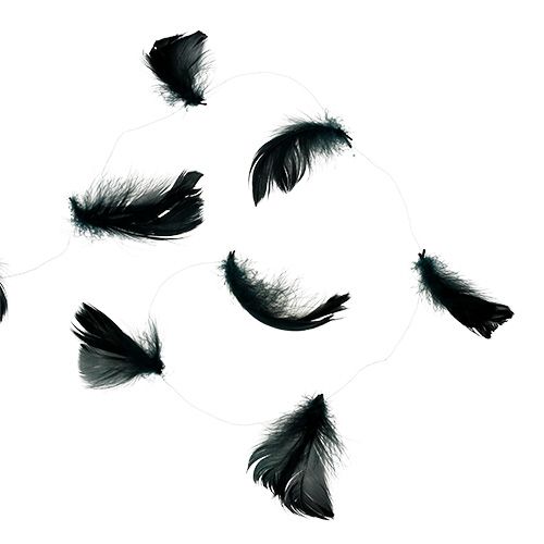 Floristik24 Plumes sur fil Noir 10m