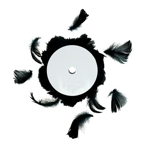 Floristik24 Plumes sur fil Noir 10m