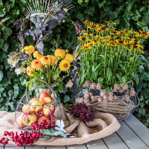 Floristik24 Panier grillagé shabby chic corbeille grillagée décoration jardin Ø37/26cm lot de 2