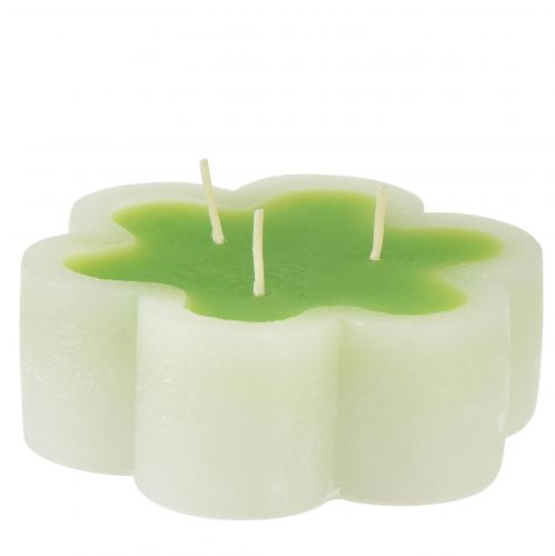 Floristik24 Bougie trois mèches vert blanc forme fleur Ø11,5cm H4cm