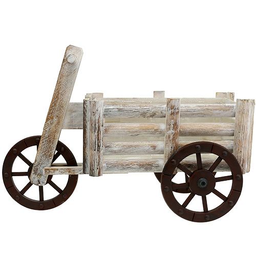 Floristik24 Plantation tricycle bois blanc H31,5cm