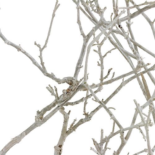 Article Arbre Sec Blanc lavé 500g