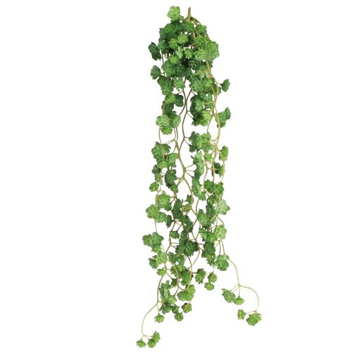 Plantes artificielles suspendues Echeveria vertes L12cm L50cm