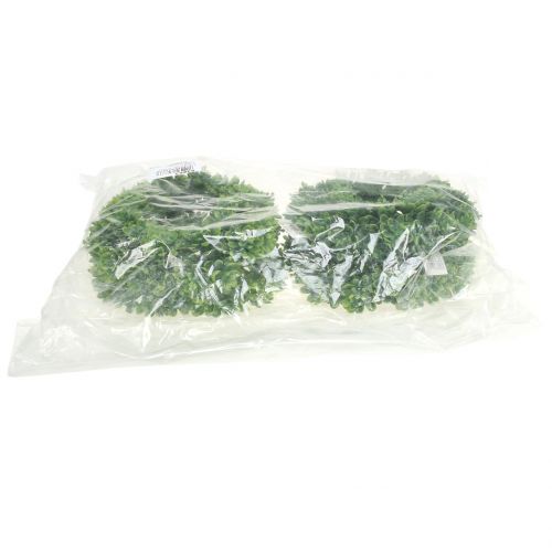 Floristik24 Couronne Echeveria verte Ø18cm 4pcs