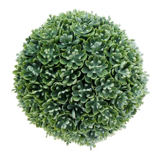 Floristik24 Boule d’echeveria artificiel vert Ø 18 cm