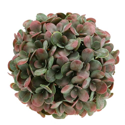 Floristik24 Balle Echeveria vert artificiel, Ø22cm rouge
