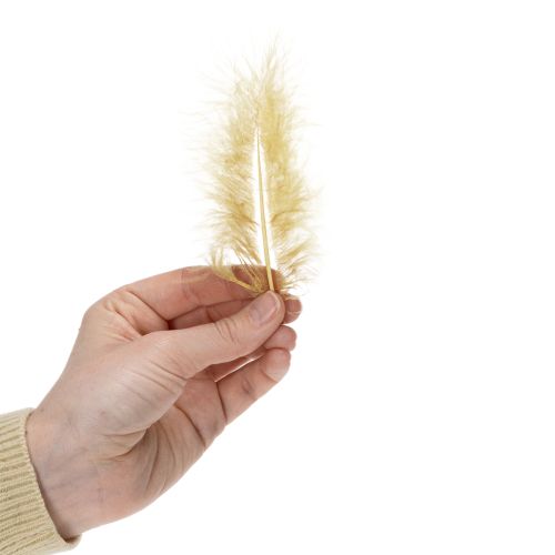 Article Plumes véritables pour loisirs créatifs, jaune clair, 5 à 10 cm, 20 g