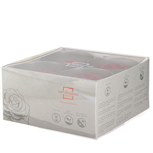 Floristik24 Véritables têtes de roses Infinity Roses Rouge Premium Ø8,5 cm 4 pcs