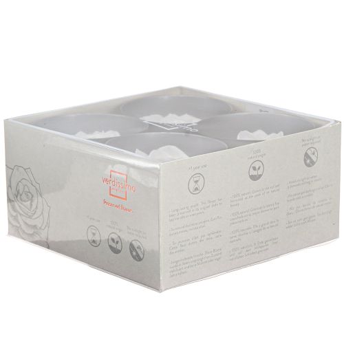 Article Roses éternelles blanches Fleurs stabilisées Ø8,5cm 4pcs