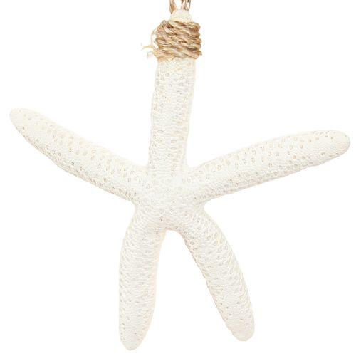 Article Véritable décoration étoile de mer cintre maritime gris blanc 10-14cm 4pcs