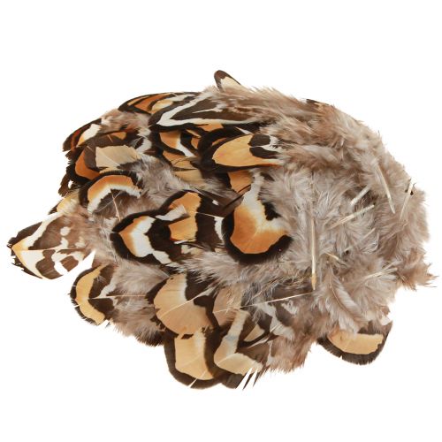 Plumes d'oiseaux véritables plumes décoratives rayées 3-4cm 60 pcs