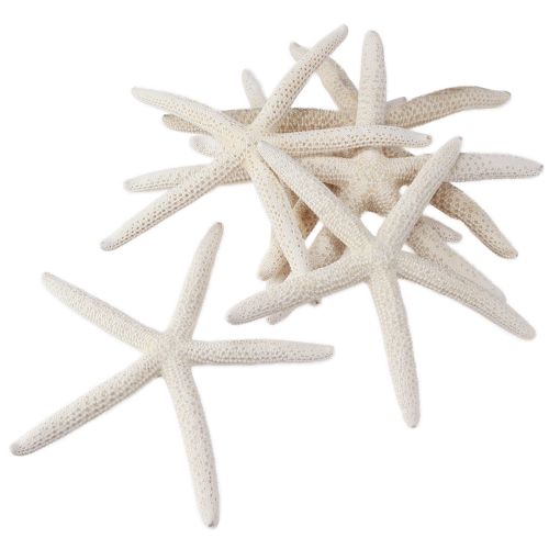 Article Véritable étoile de mer naturelle décorative maritime Ø16–20cm 10 pcs