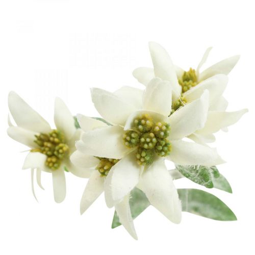 Article Edelweiss fleur artificielle blanc floqué 38cm