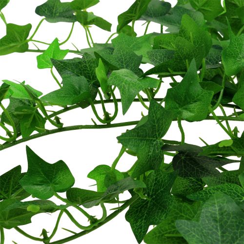 Floristik24 Ivy cintre vert 60cm