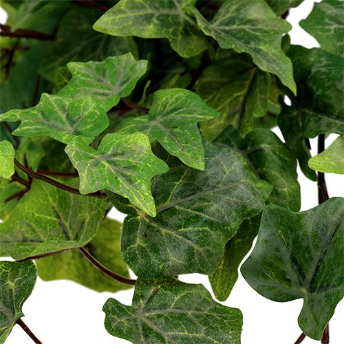 Article Cintre Ivy effet rosée 70cm