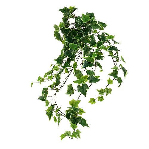 Article Cintre Ivy 80cm blanc-vert