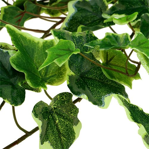 Floristik24 Cintre Ivy 80cm blanc-vert