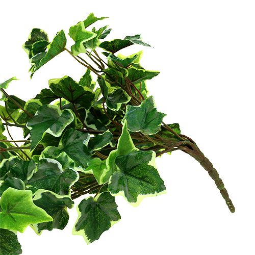Floristik24 Cintre Ivy 80cm blanc-vert