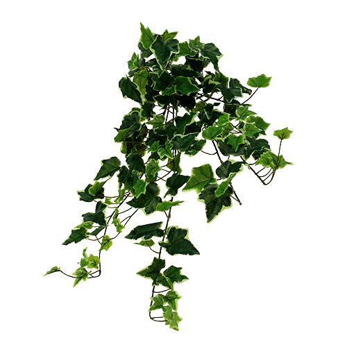 Floristik24 Cintre Ivy blanc-vert 70cm