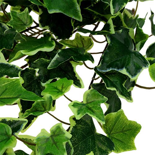 Floristik24 Cintre Ivy blanc-vert 70cm