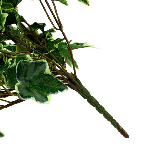 Floristik24 Cintre Ivy blanc-vert 70cm