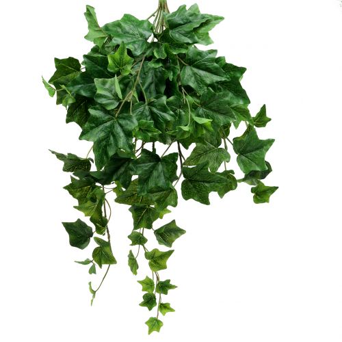 Floristik24 Suspension lierre grande feuille 60cm
