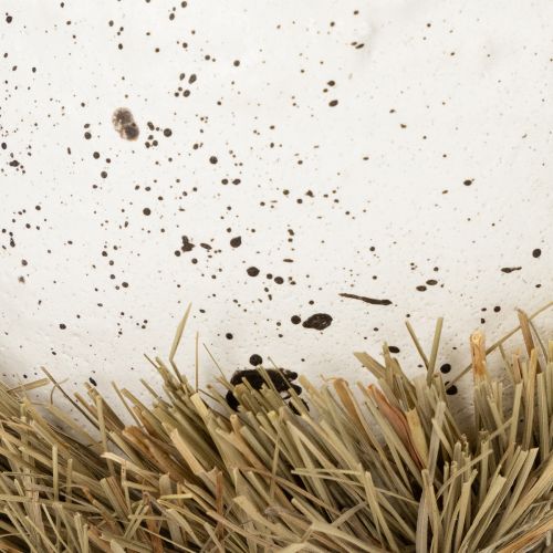 Article Bol nid de Pâques en forme d'œuf pour décoration printanière, 11 cm, lot de 4