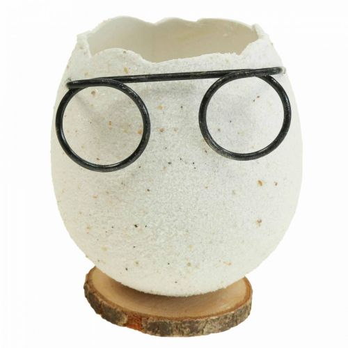 Floristik24 Oeuf avec verres vase décoratif blanc décoration de Pâques Ø7,5cm H9cm 6 pcs