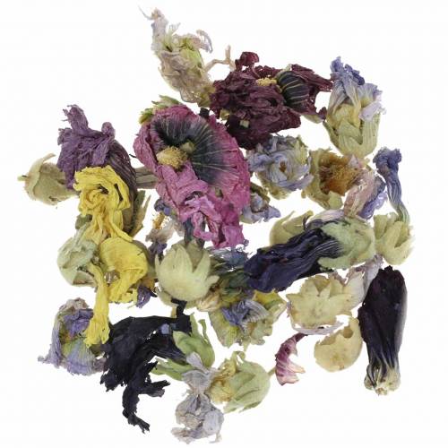 Floristik24 Ensemble de bricolage de décoration sèche vraie guimauve naturelle 300g pot-pourri de fleur