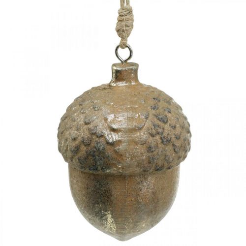 Floristik24 Pendentif décoratif gland, fruits d'automne, décorations d'arbre de Noël avec décor doré H8cm Ø6cm 4pcs