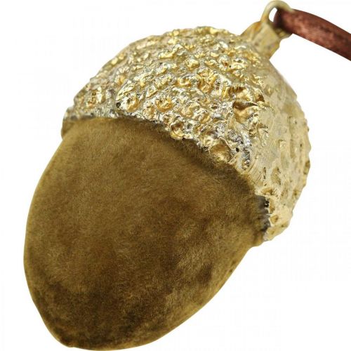 Article Glands à suspendre, Avent, décoration d'arbre, décoration d'automne H6,5cm Ø4cm 6 pcs