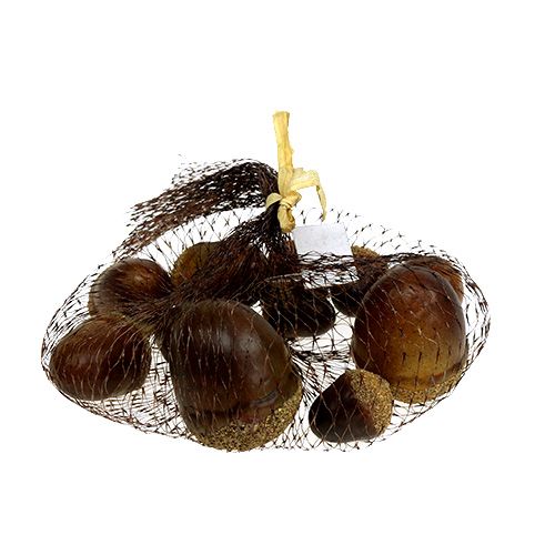 Floristik24 Glands mélangés dans un filet 12pcs
