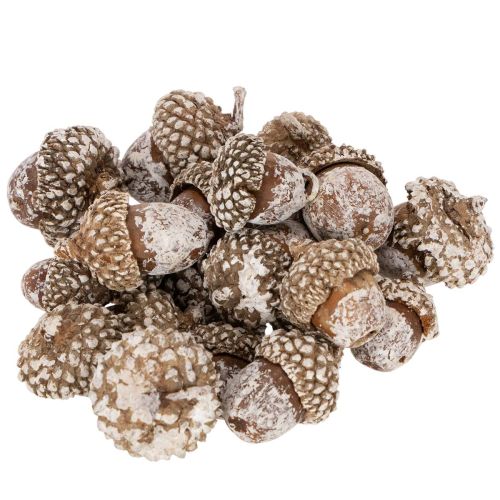 Glands, produit naturel de décoration, blanchis à la chaux, 1-3 cm, 300 g