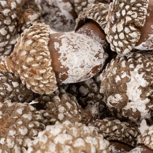Glands, produit naturel de
