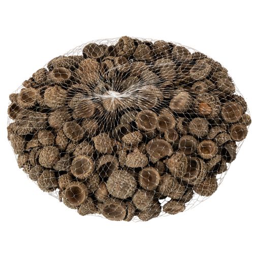 Coupes décoratives en forme de glands naturels, pour l'automne et l'Avent, 2 cm, 300 g | Floristik24.be