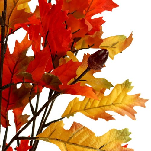 Floristik24 Buisson de chêne orange 56 cm