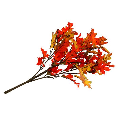 Floristik24 Buisson de chêne orange 56 cm