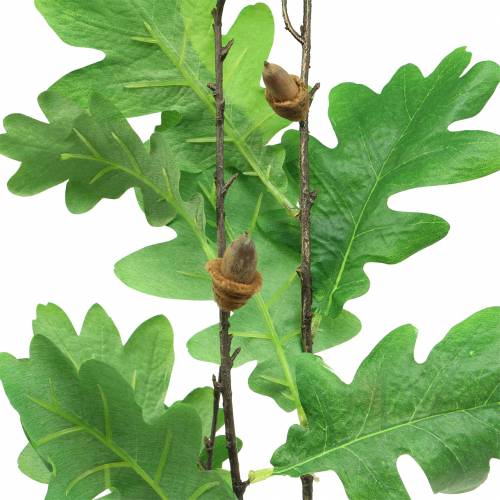 Floristik24 Branche de feuille de chêne vert 115cm