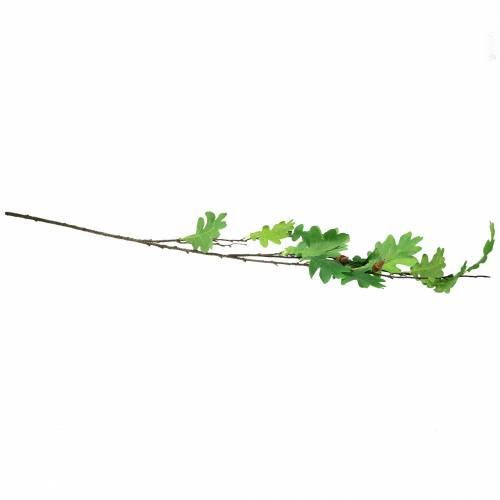 Floristik24 Branche de feuille de chêne vert 115cm