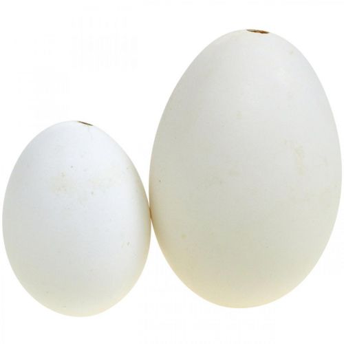 Article Mélange d'œufs de cygne et d'œufs de poule blancs soufflés 5,5/8 cm 9 pièces